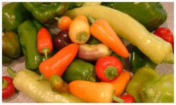 Bell, Sweet and Hot Peppers (Click for larger image)